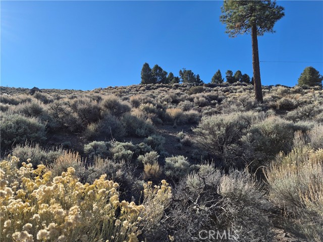 MLS #PW25248724 image #7