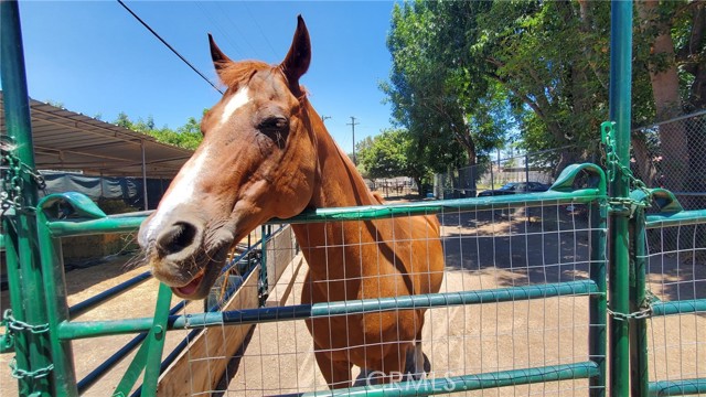 MLS #PW25251892 image #53