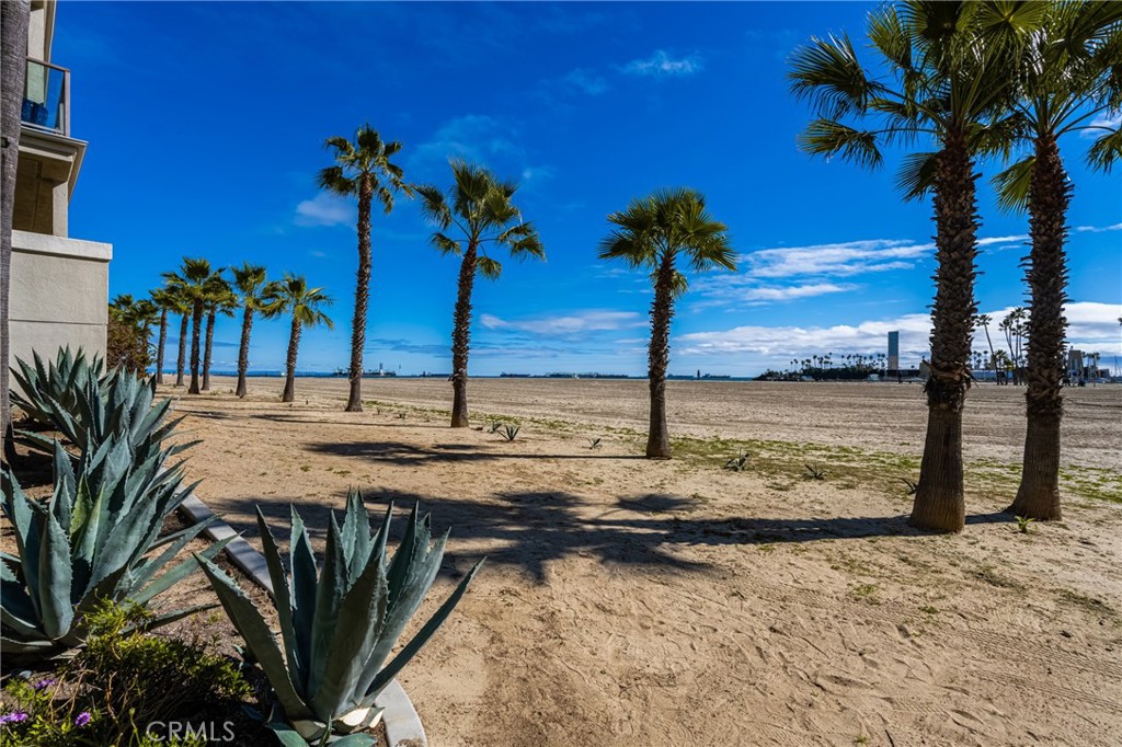 MLS #PW25251894 image #60