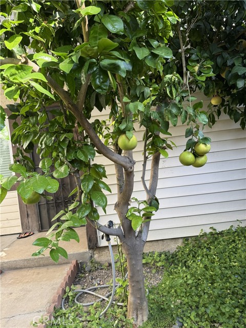 MLS #PW25253004 image #17