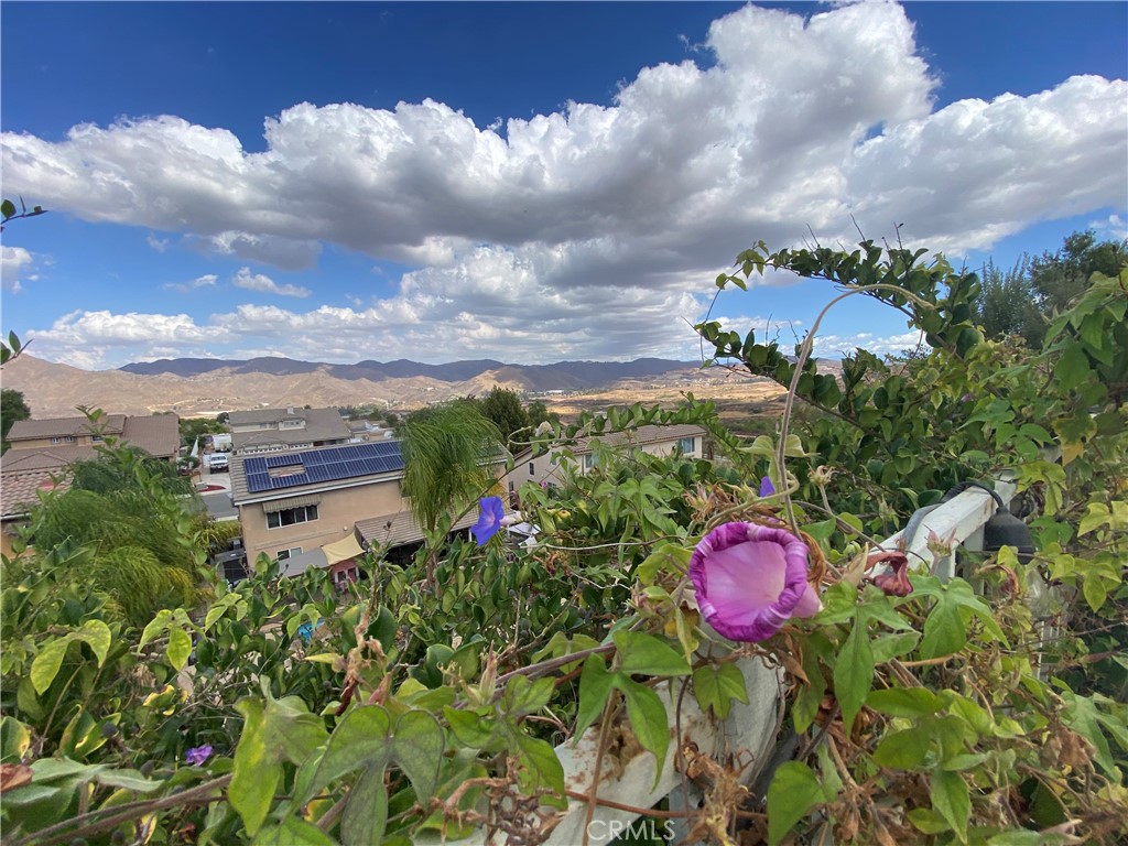 MLS #PW25253628 image #68