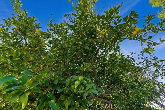 MLS #PW25255982 image #18