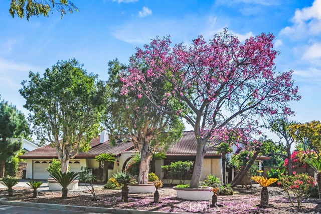 MLS #PW25258866 image #2