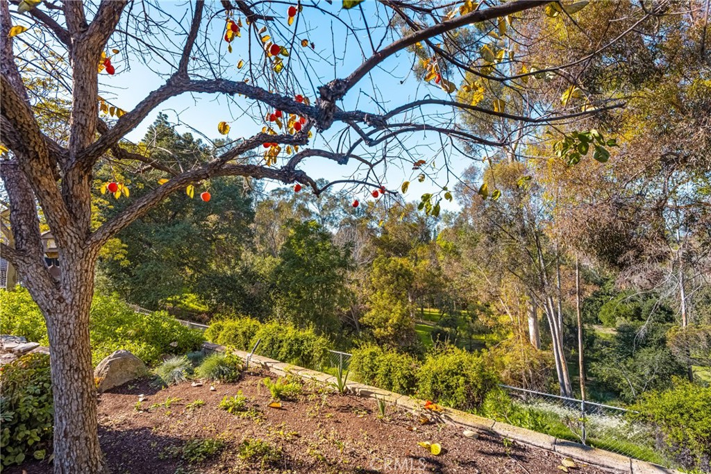 MLS #PW25259895 image #38