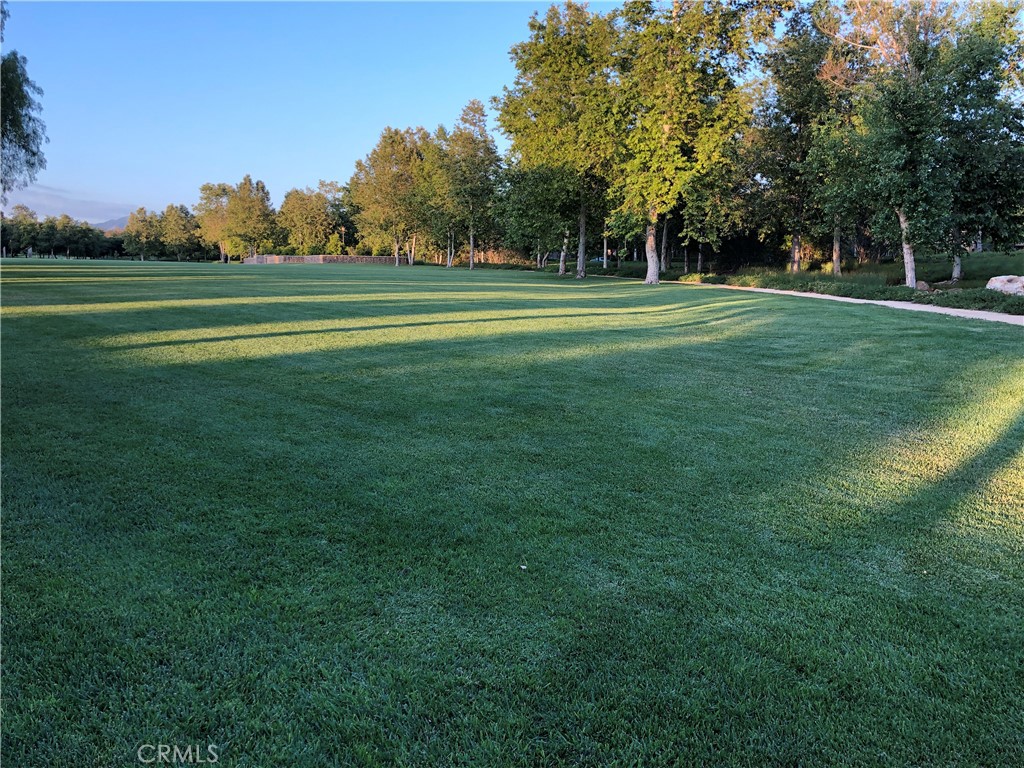 MLS #PW25261357 image #12