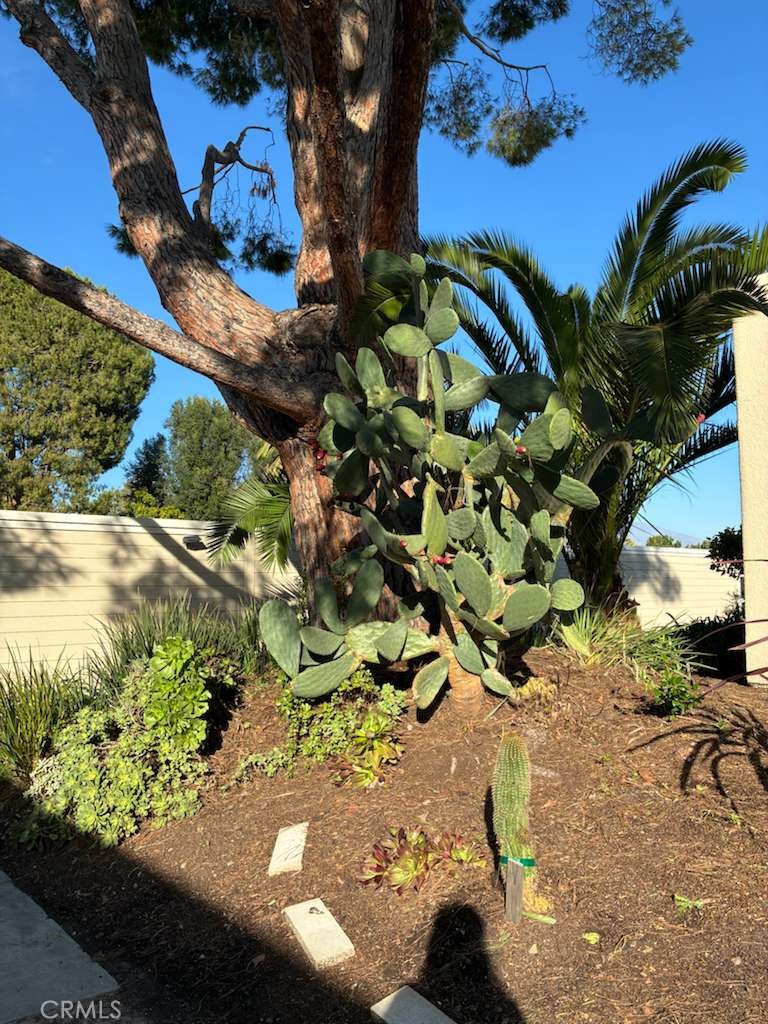 MLS #PW25262441 image #21