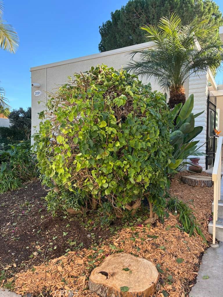 MLS #PW25262441 image #22