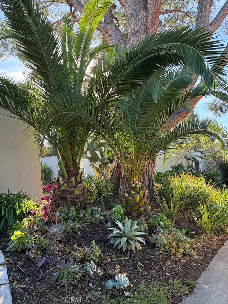 MLS #PW25262441 image #23