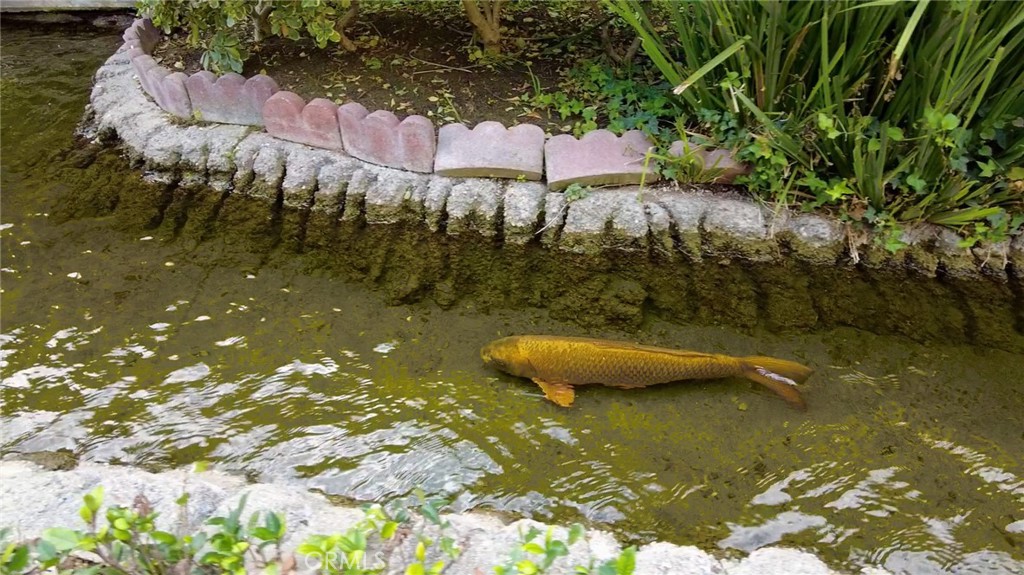 MLS #PW25263215 image #3