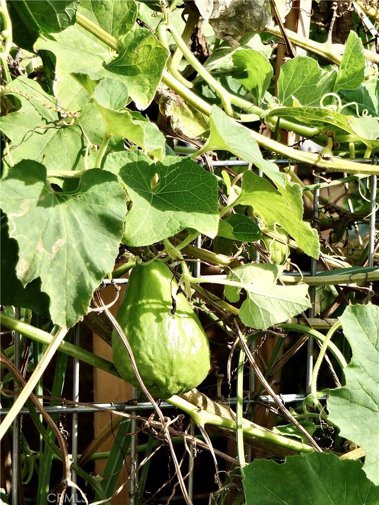 MLS #PW25263231 image #60