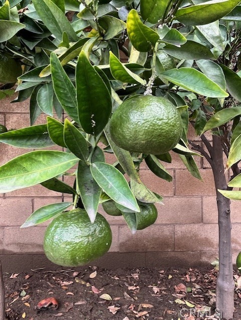 MLS #PW25263921 image #18