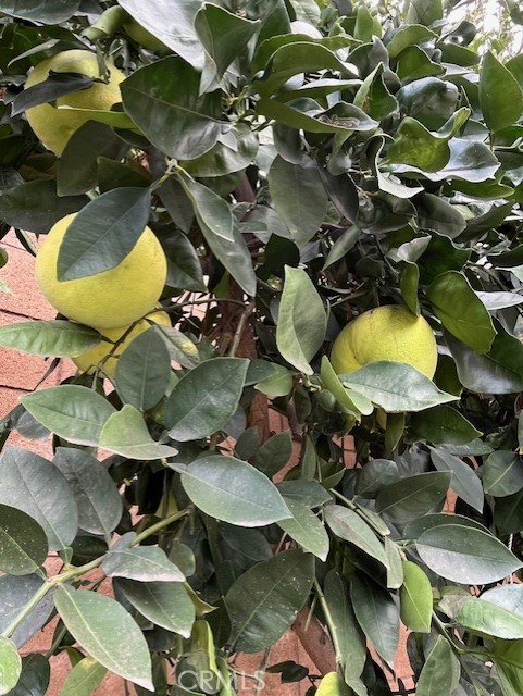 MLS #PW25263921 image #19