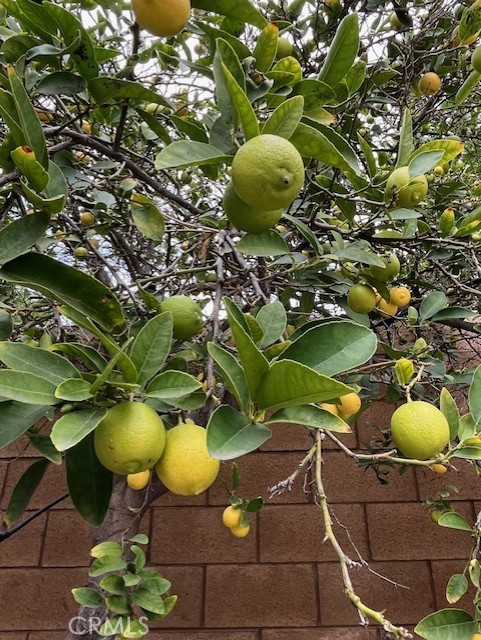 MLS #PW25263921 image #20