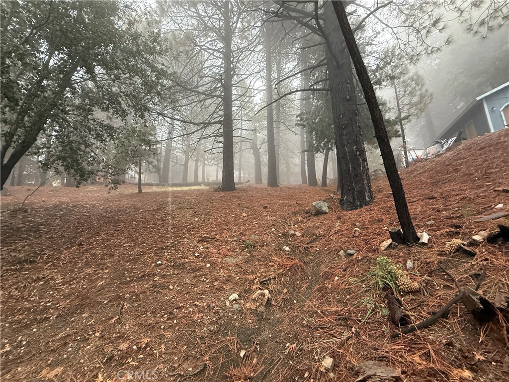 MLS #PW25263980 image #1