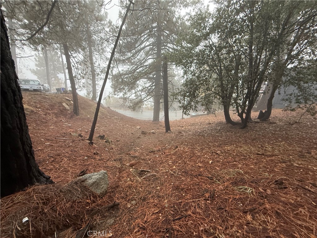 MLS #PW25263980 image #4