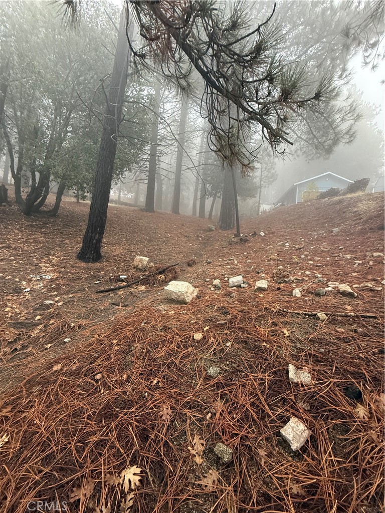 MLS #PW25263980 image #5