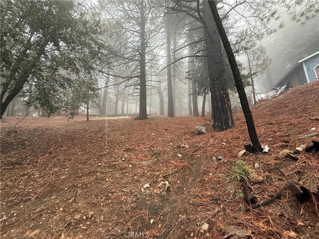 MLS #PW25263980 image #8