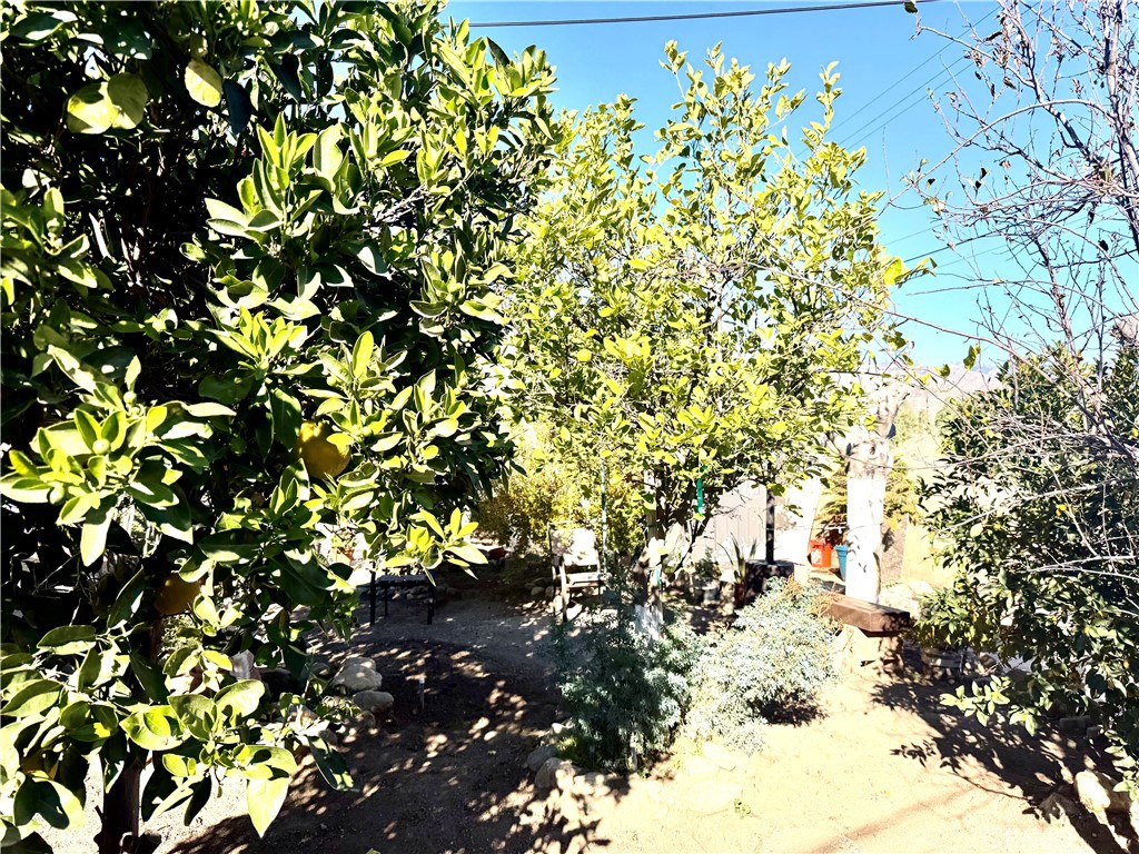 MLS #PW25264717 image #14