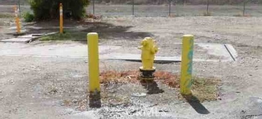 MLS #PW25266910 image #6