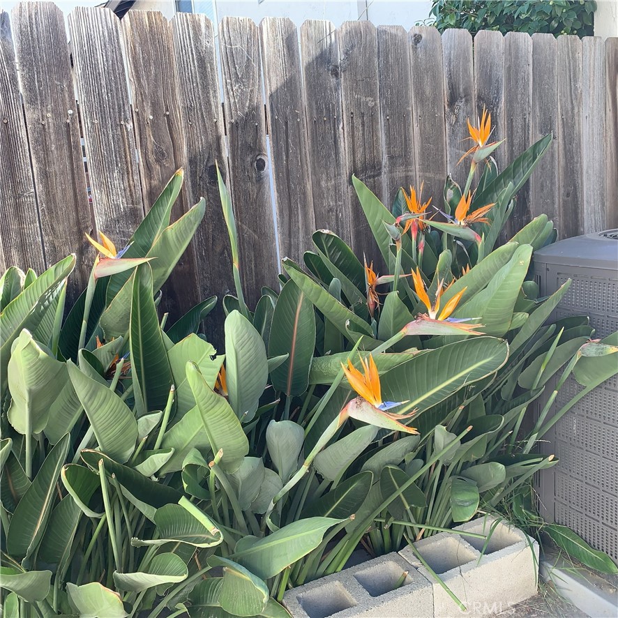 MLS #PW25267134 image #26