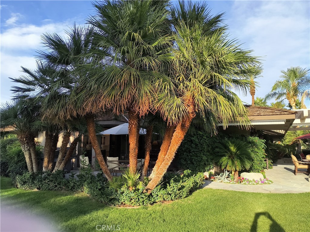 MLS #PW25267263 image #48