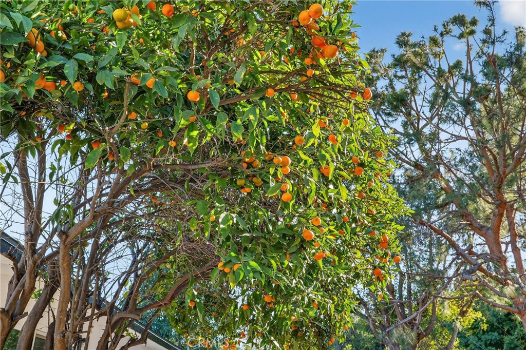 MLS #PW25267284 image #32