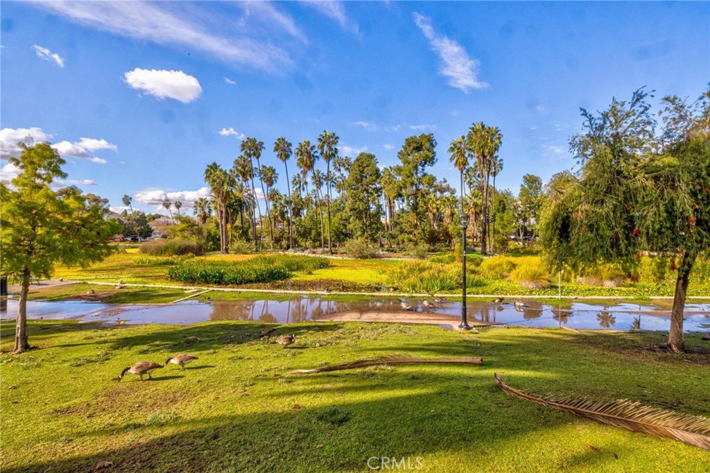 MLS #PW25267309 image #39