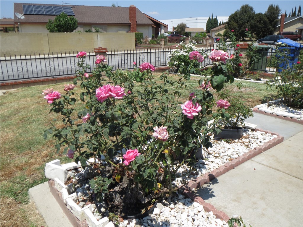 MLS #PW25267656 image #1