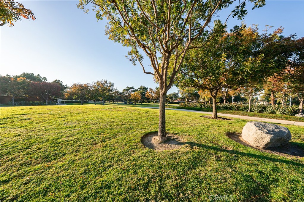 MLS #PW25268880 image #25