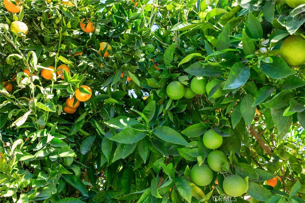 MLS #PW25270083 image #20