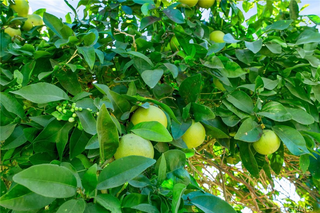 MLS #PW25270083 image #21