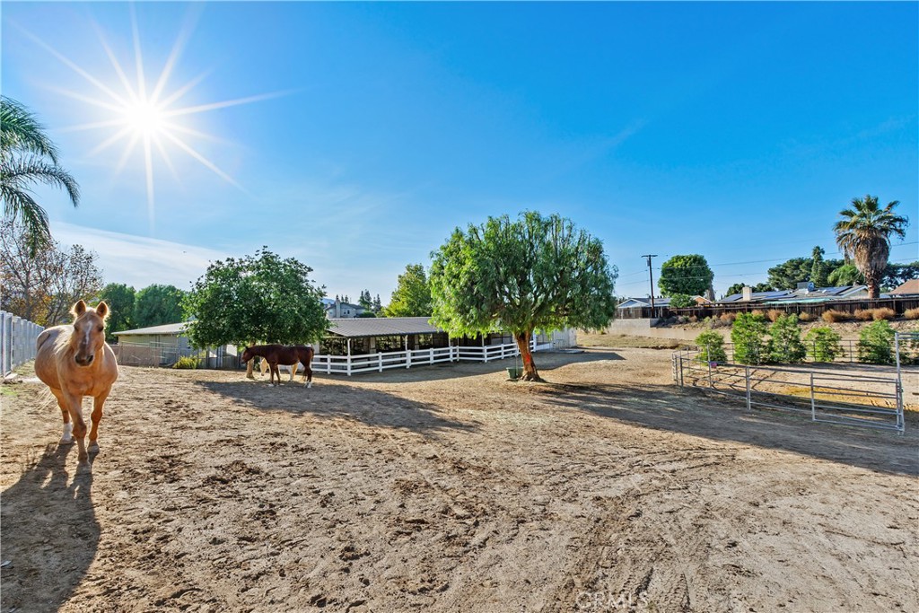 MLS #PW25270367 image #25