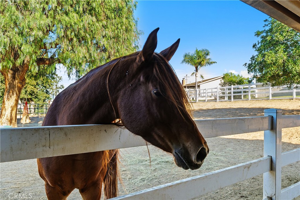 MLS #PW25270367 image #27