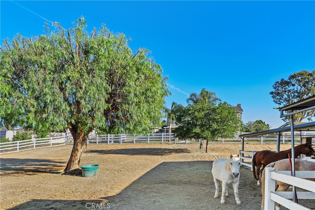 MLS #PW25270367 image #29