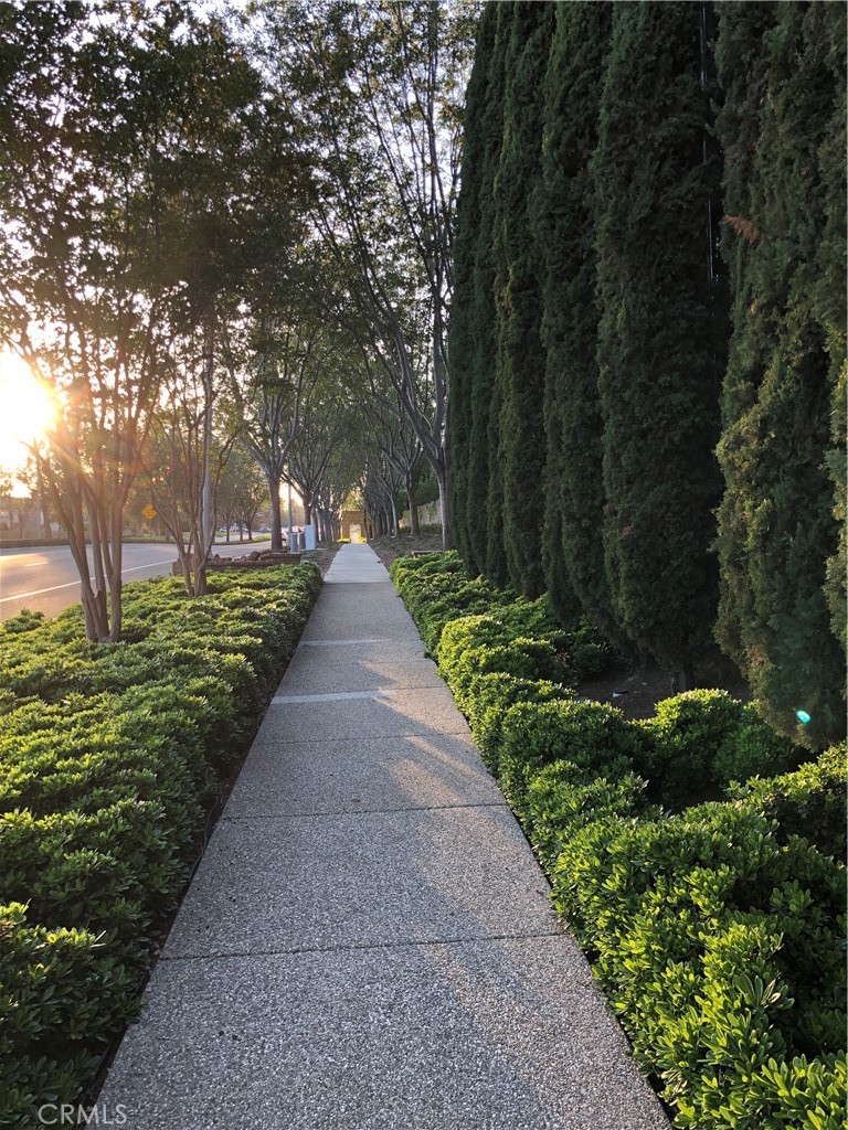 MLS #PW25271159 image #5