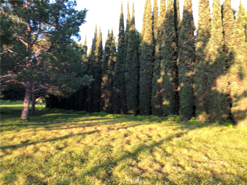 MLS #PW25271159 image #7