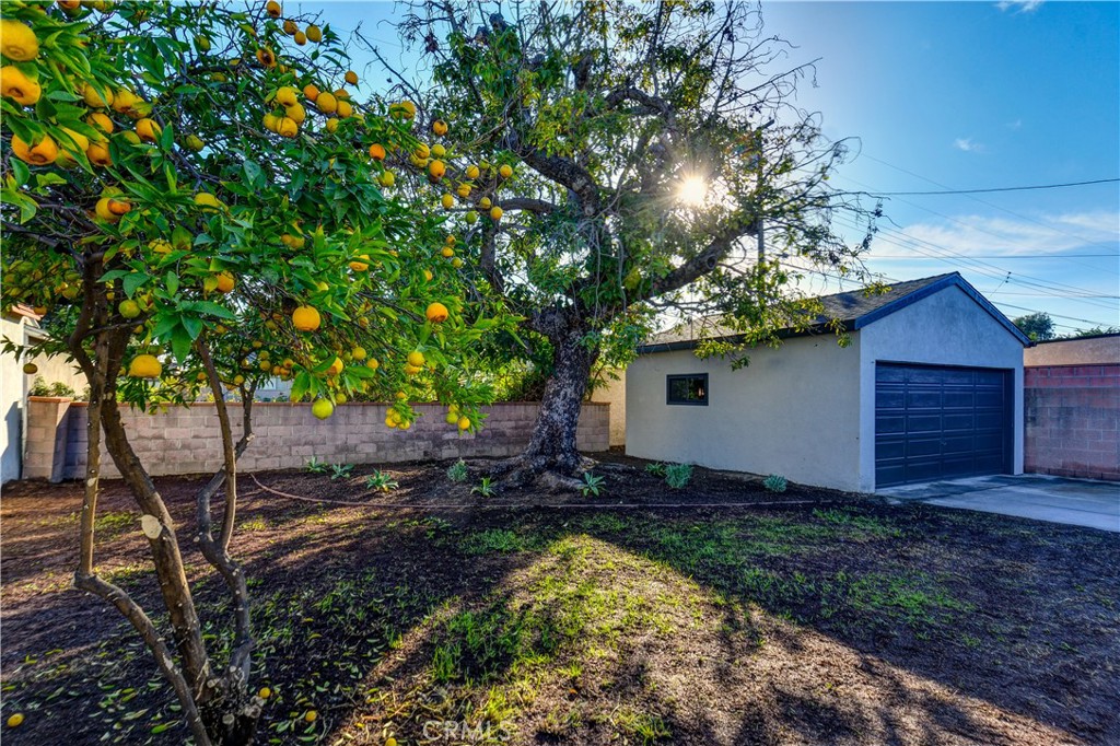 MLS #PW25271163 image #24