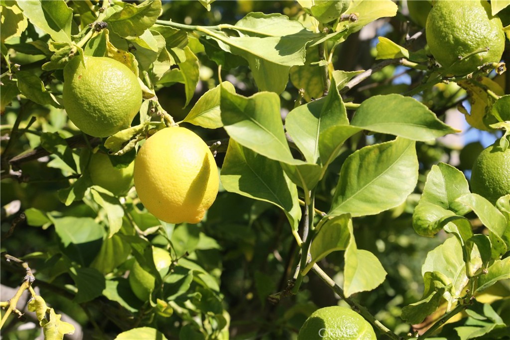 MLS #PW25271357 image #11