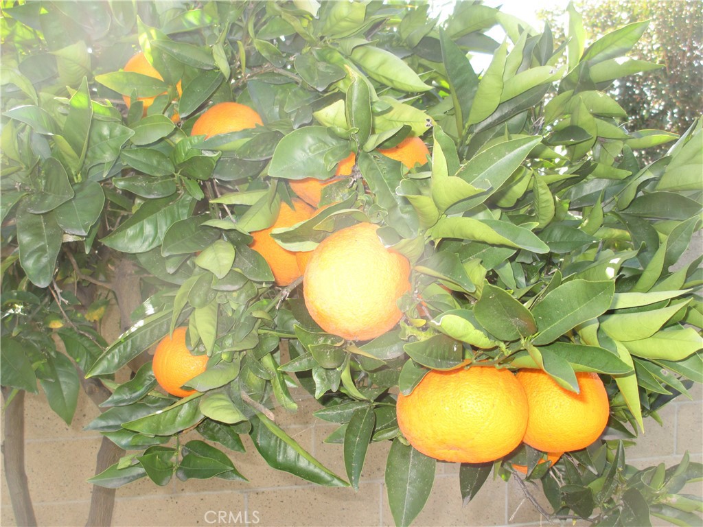 MLS #PW25271598 image #7