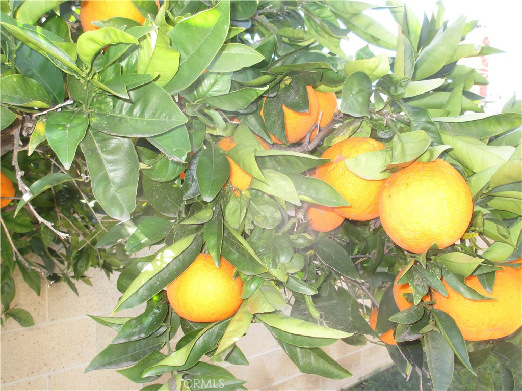 MLS #PW25271598 image #8