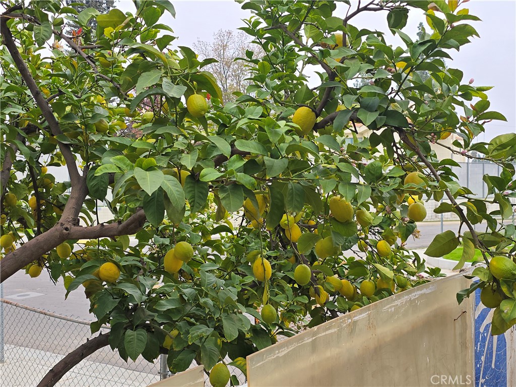 MLS #PW25271622 image #14