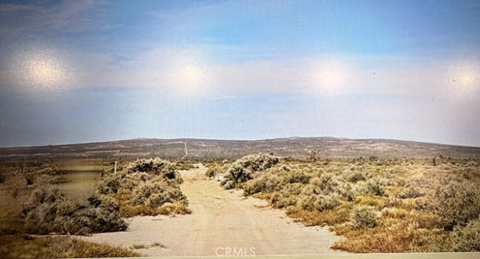 MLS #PW25271728 image #0