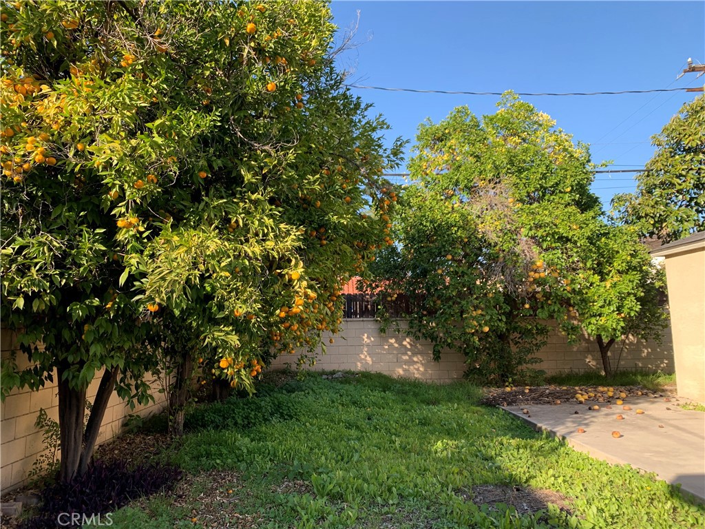 MLS #PW25272935 image #46