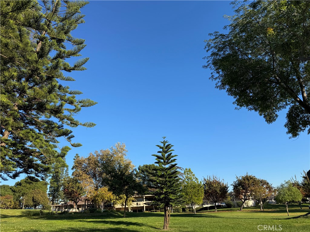 MLS #PW25273327 image #20