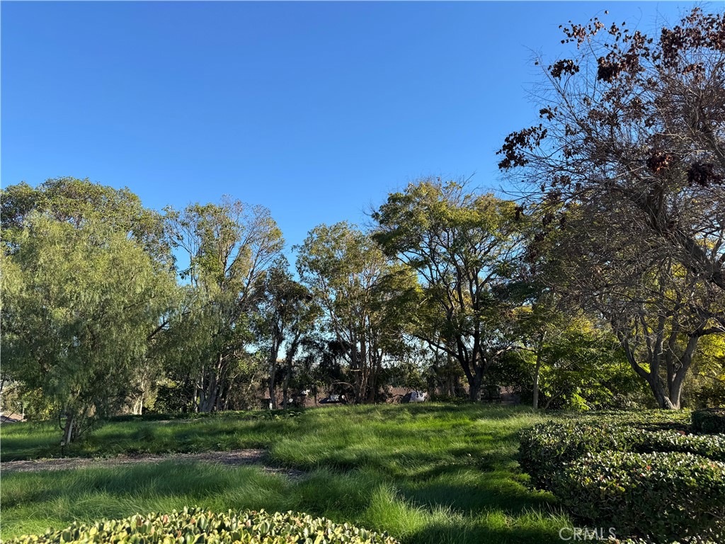 MLS #PW25273327 image #25