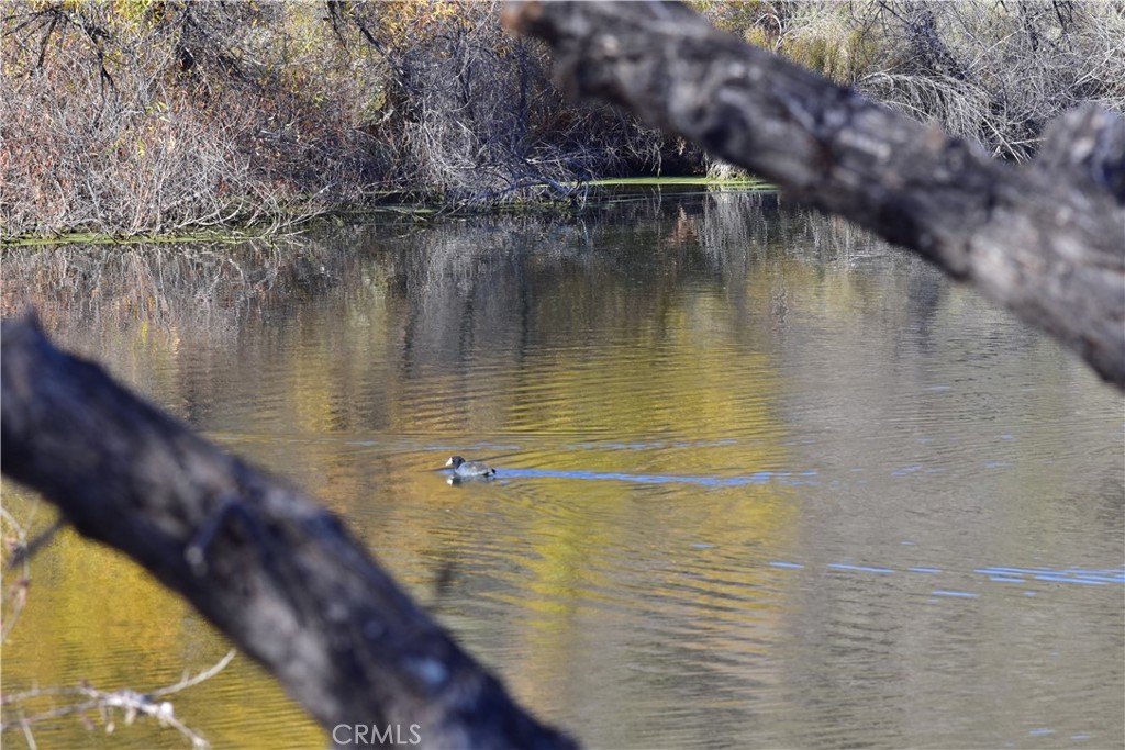 MLS #PW25273428 image #50