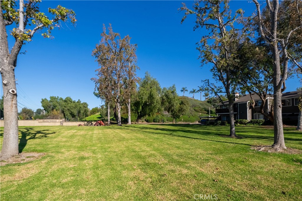 MLS #PW25273899 image #20