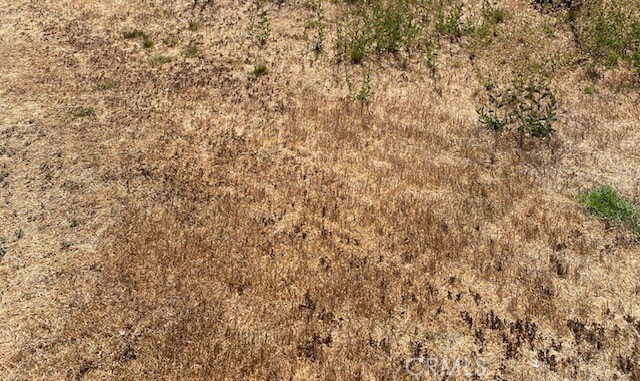 MLS #PW25276206 image #0