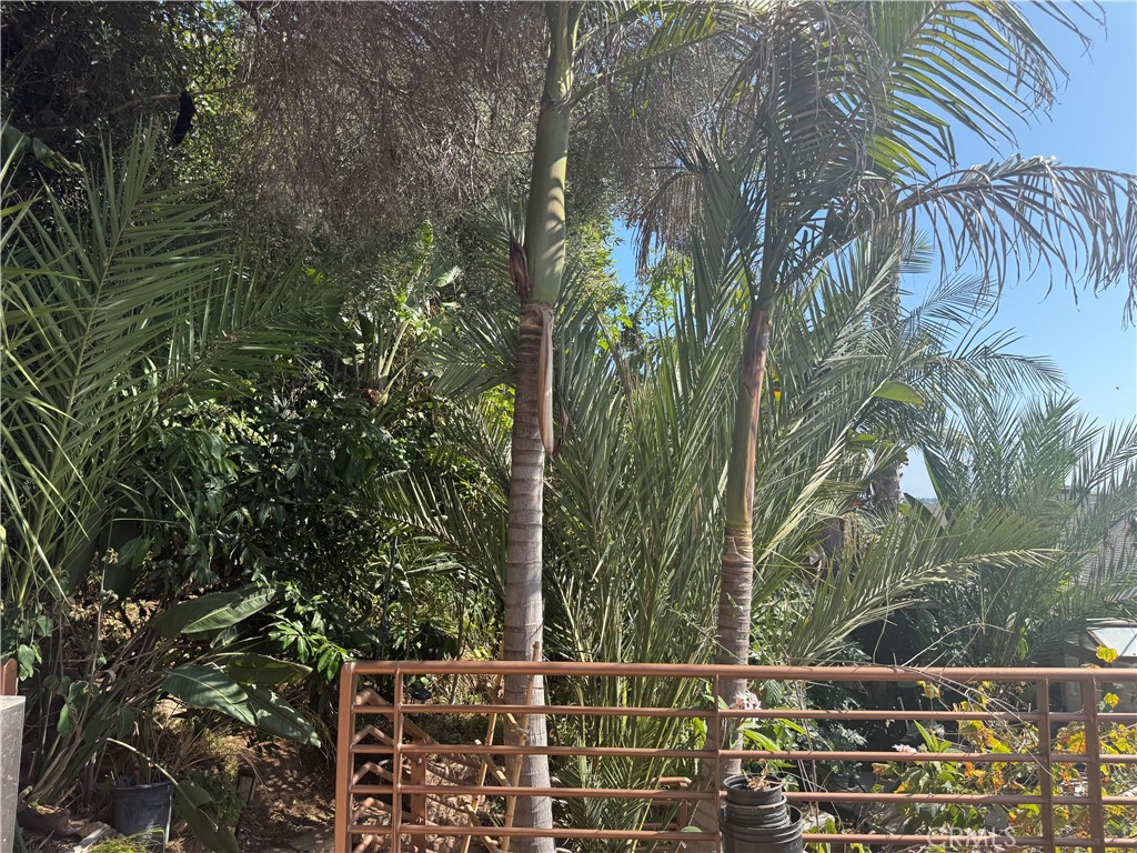 MLS #PW25279844 image #38