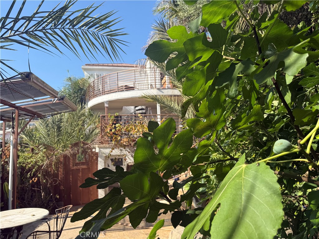 MLS #PW25279844 image #47